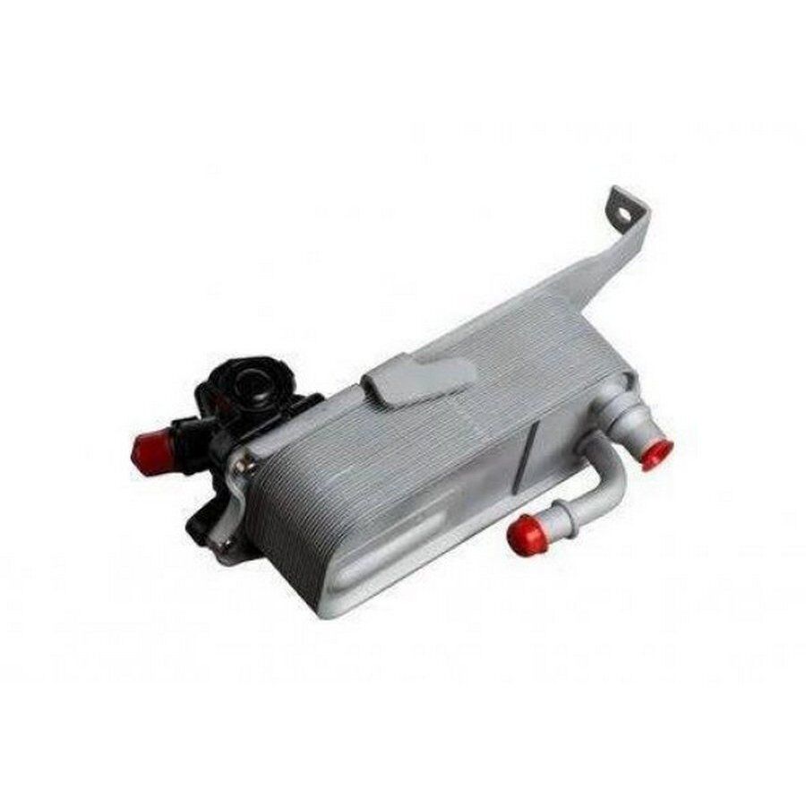 KALE 17217600553 SANZIMAN YAG SOGUTUCU BMW F20-F20 LCI-F21 -F21 LCI-F22-F23-F30-F30 LCI-F31-F34-F35-F35 LCI-4F32-F33-F36