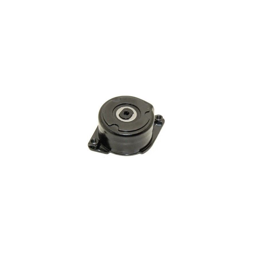 INA 11282354130 V KAYIS GERGI RULMANI BMW E46-39-38-X5