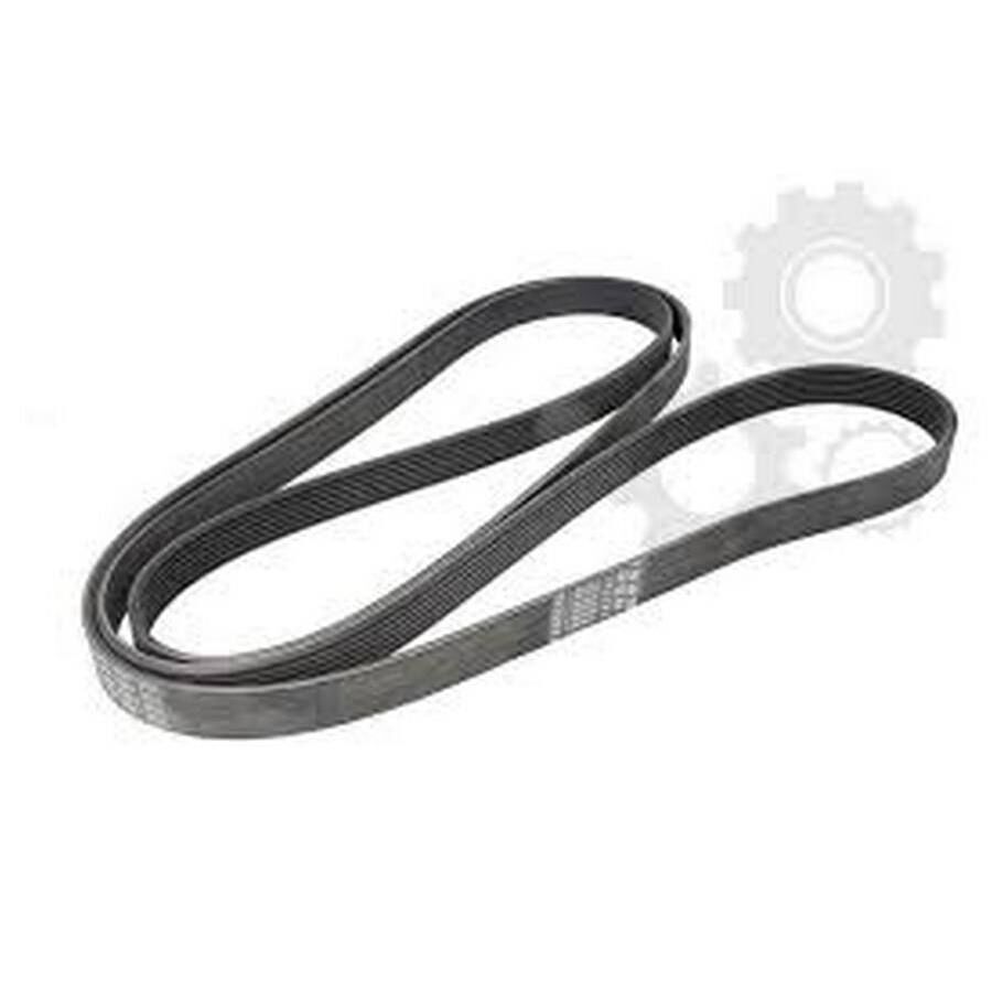 DAYCO 1128758769 V KAYISI BMW