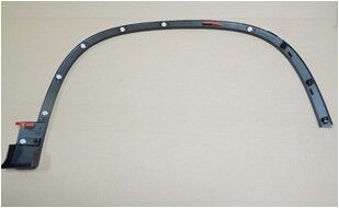 CAMURLUK AGZI (DODIK) ON SAG TIGUAN 12>18