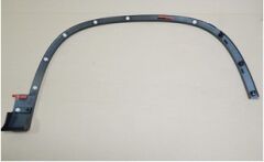 CAMURLUK AGZI (DODIK) ON SAG TIGUAN 12>18