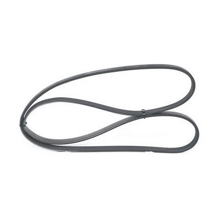 DAYCO 64557785212 V KAYISI BMW E46